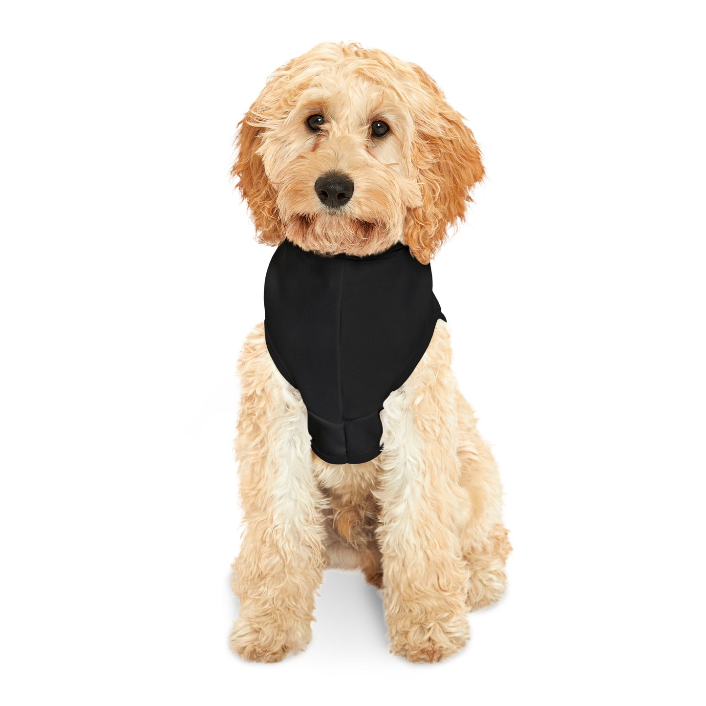 Coach Coco Fitness. Playful Pet Hoodie - Perfect for Dog Lovers, Pet Fashion, Gifts for Dog Trainers, Cozy Pet Wear, Adorable Hoodie for Pets